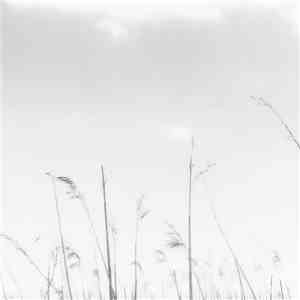 Sleepland - Meditate On Fall