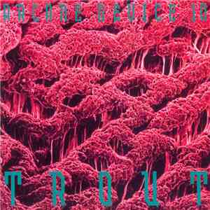 Arcane Device - Trout
