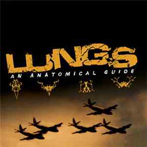 Lungs - An Anatomical Guide