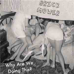 Brick Mower - Why Are We Doing This?