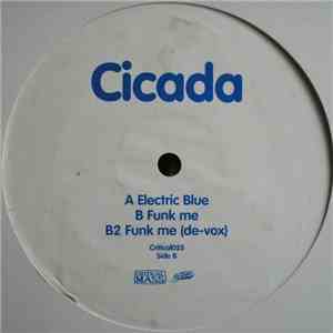 Cicada - Electric Blue