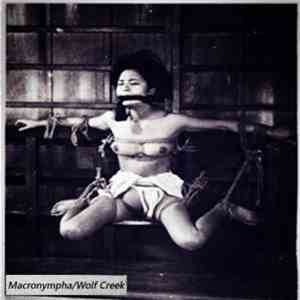 Macronympha / Wolf Creek - Bloody Rhythms