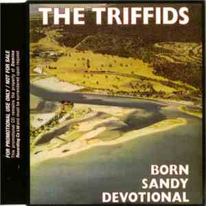 The Triffids - Born Sandy Devotional