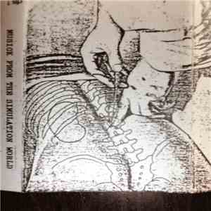Merzbow - Musick From The Simulation World
