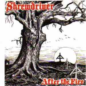 Skrewdriver - After The Fire
