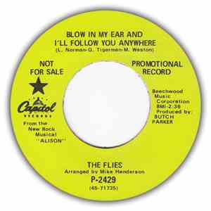 The Flies  - Blow In My Ear And I'll Follow You Anywhere / I Got A Letter T ...