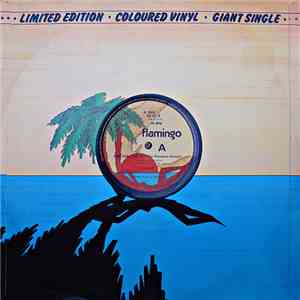 The Zebras - Now That I've Met You (Paradise Garage) / Animal
