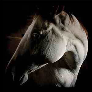 Brother Dege - How To Kill A Horse