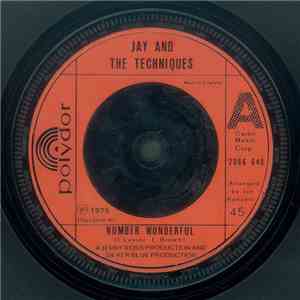 Jay And The Techniques - Number Wonderful