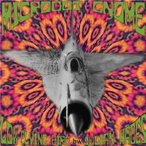 Microdot Gnome - Low Flying Bird