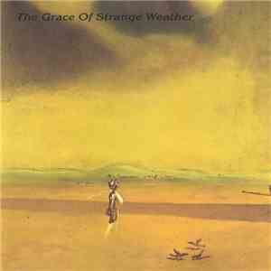 Abstract Speed - The Grace Of Strange Weather