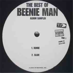 Beenie Man - Best Of Beenie Man Album Sampler