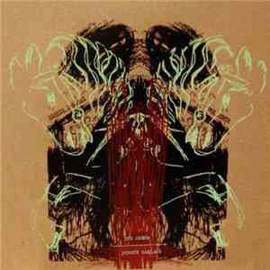 Dennis Callaci / The Debts - Split