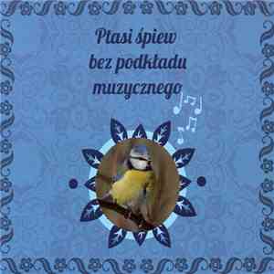 No Artist - Ptasi Śpiew Bez Podkładu Muzycznego