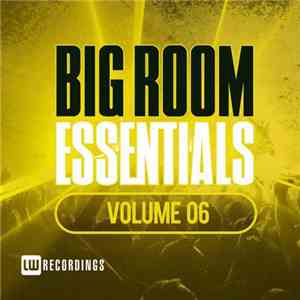 Various - Big Room Essentials Volume 06