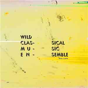 Wild Classical Music Ensemble - Tapping Is Clapping