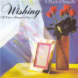 A Flock Of Seagulls - Wishing (If I Had A Photograph Of You)