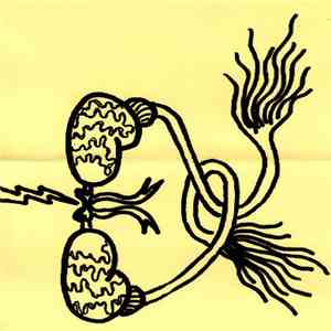 Bee Mask / Skin Graft - Split