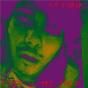 Lil' Sparky - Lost In The Shed