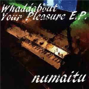 Numaitu - Whaddabout Your Pleasure E.P.