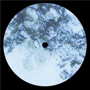 Svreca & Voices From The Lake - Between The Lines