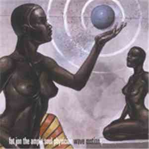Fat Jon The Ample Soul Physician - Wave Motion