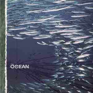 The Ocean  - Fluxion