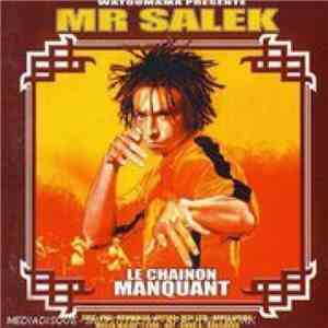 Mr Salek - Le Chainon Manquant