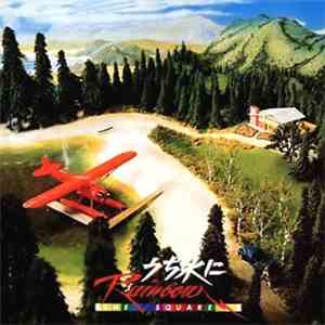 The Square - うち水にrainbow