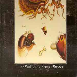 The Wolfgang Press - Big Sex