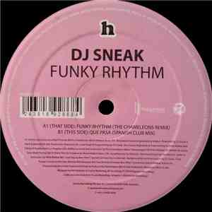 DJ Sneak - Funky Rhythm