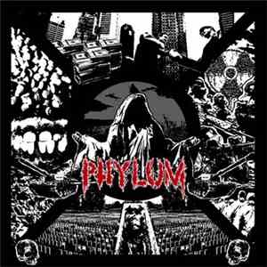 Phylum  - Divisions