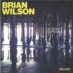 Brian Wilson - No Pier Pressure