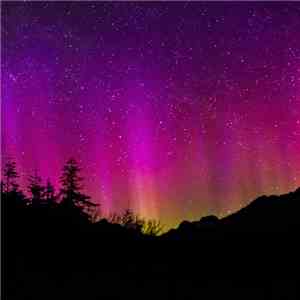 Dreams Wash Ashore - Stargazer