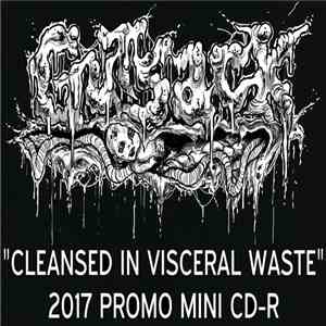 Gutsack - Cleansed In Visceral Waste - 2017 Promo Mini Cd-R