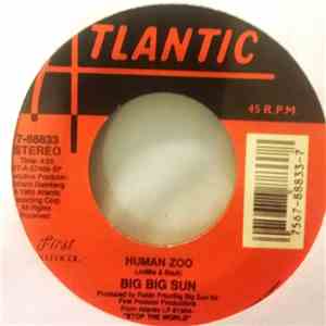 Big Big Sun - Lilacs (Sarah) / Human Zoo