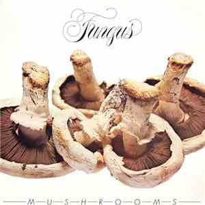 Fungus  - Mushrooms