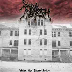 Suicidal Nihilism - Within The Insane Asylum