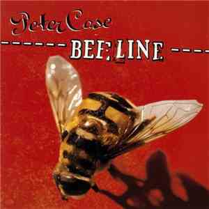 Peter Case - Beeline