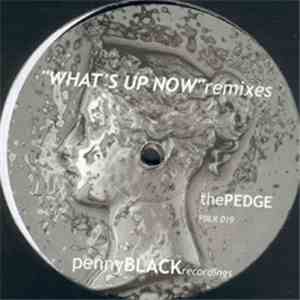 The Pedge - What's Up Now (Remixes)