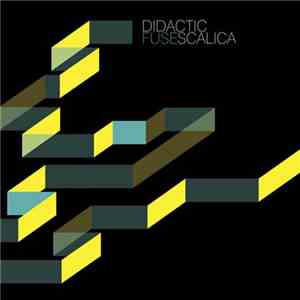 Didactic Scalica - Fuse