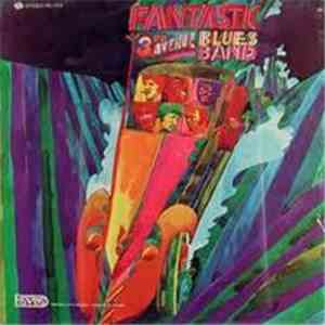 3rd Avenue Blues Band - Fantastic