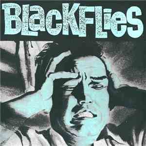 Blackflies - Wake Up Stupid