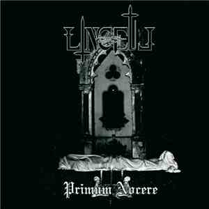 Linceul - Primum Nocere