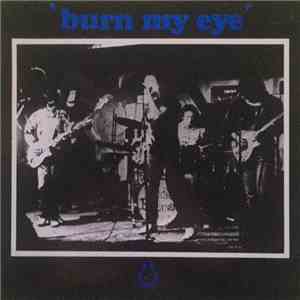 Radio Birdman - Burn My Eye
