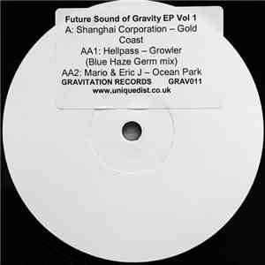 Various - Future Sound Of Gravity EP Volume 1