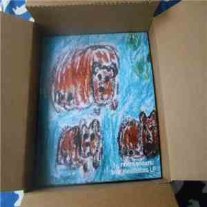 xnoemienoursx - Bear Meditations LP