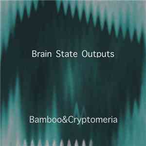 Voile - Brain State Outputs
