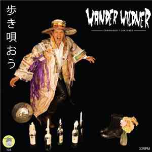 Wander Wildner / Handsome And Heartbreakers - Caminando Y Cantando / Meus O ...
