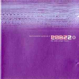Various - Future Sound Of Zürich Vol. 2